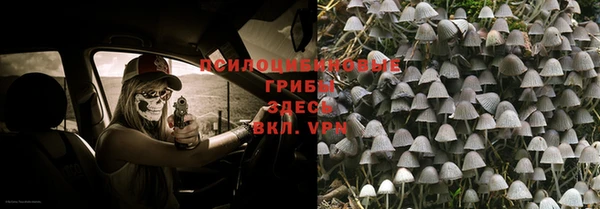 мяу мяу мука Белоозёрский