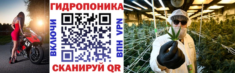 Шишки марихуана индика  Санкт-Петербург 